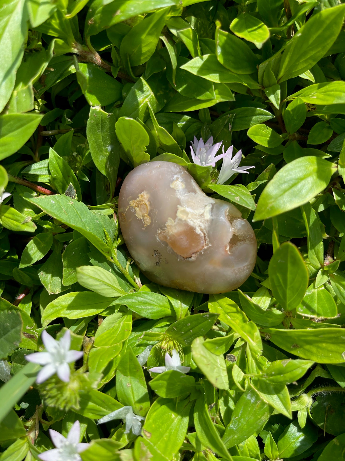 Agate Heart, Palm Stone, Cherry Blossom Agate, Crystal Magic