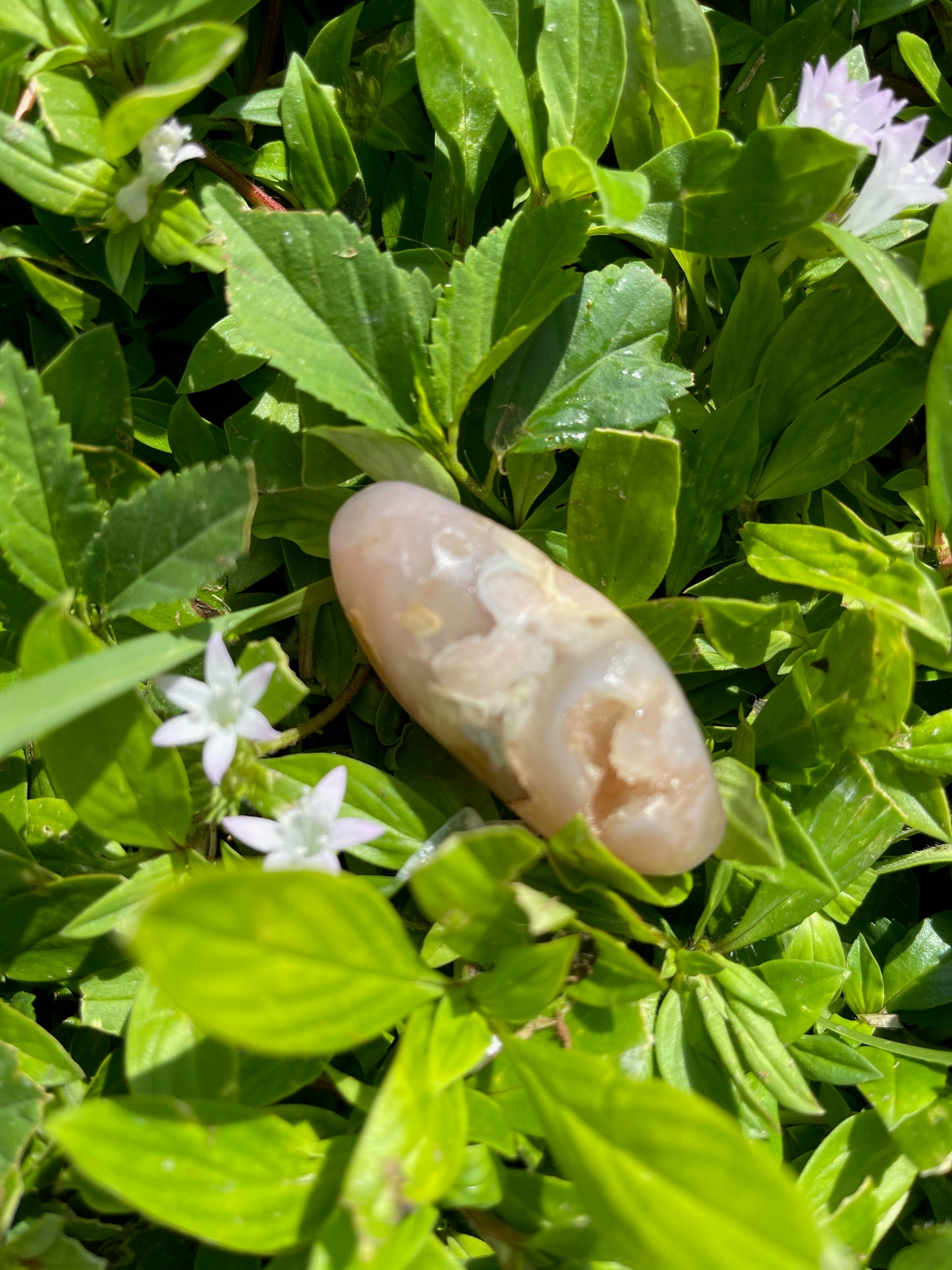 Agate Heart, Palm Stone, Cherry Blossom Agate, Crystal Magic
