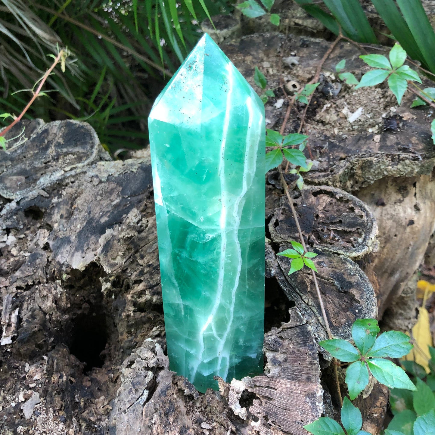 Spectacular "LIGHTNING STRIKE" Green Fluorite Tower, 4 lb Green Fluorite Obelisk, Crystal Magic
