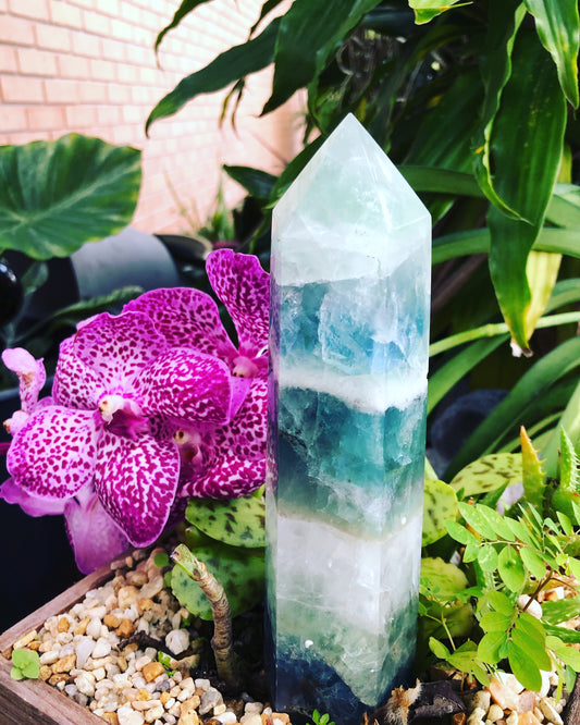 Large Fluorite Generator, Fluorite Wand, Blue Fluorite Tower, Waves, Mermaid Stone, Water Stone, Polished Fluorite, Meditation, Garden Stone