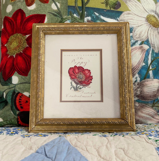 Red Poppy Print, Bodhi Signs