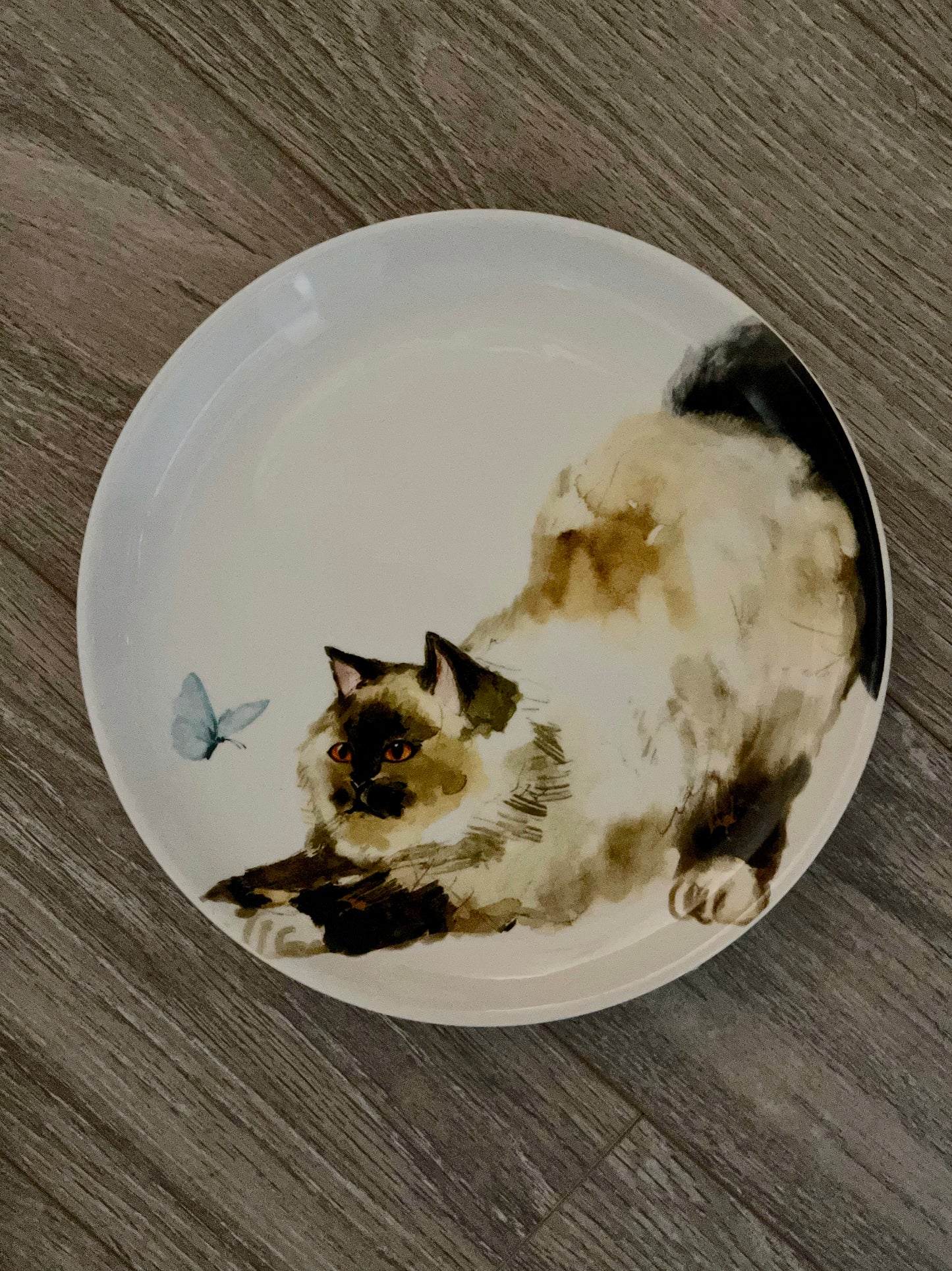 Retired Pier One Cat Plates, Kitten Plates, Home Decor