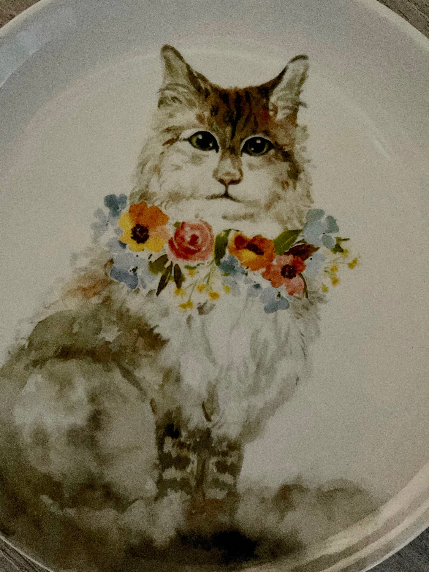Retired Pier One Cat Plates, Kitten Plates, Home Decor