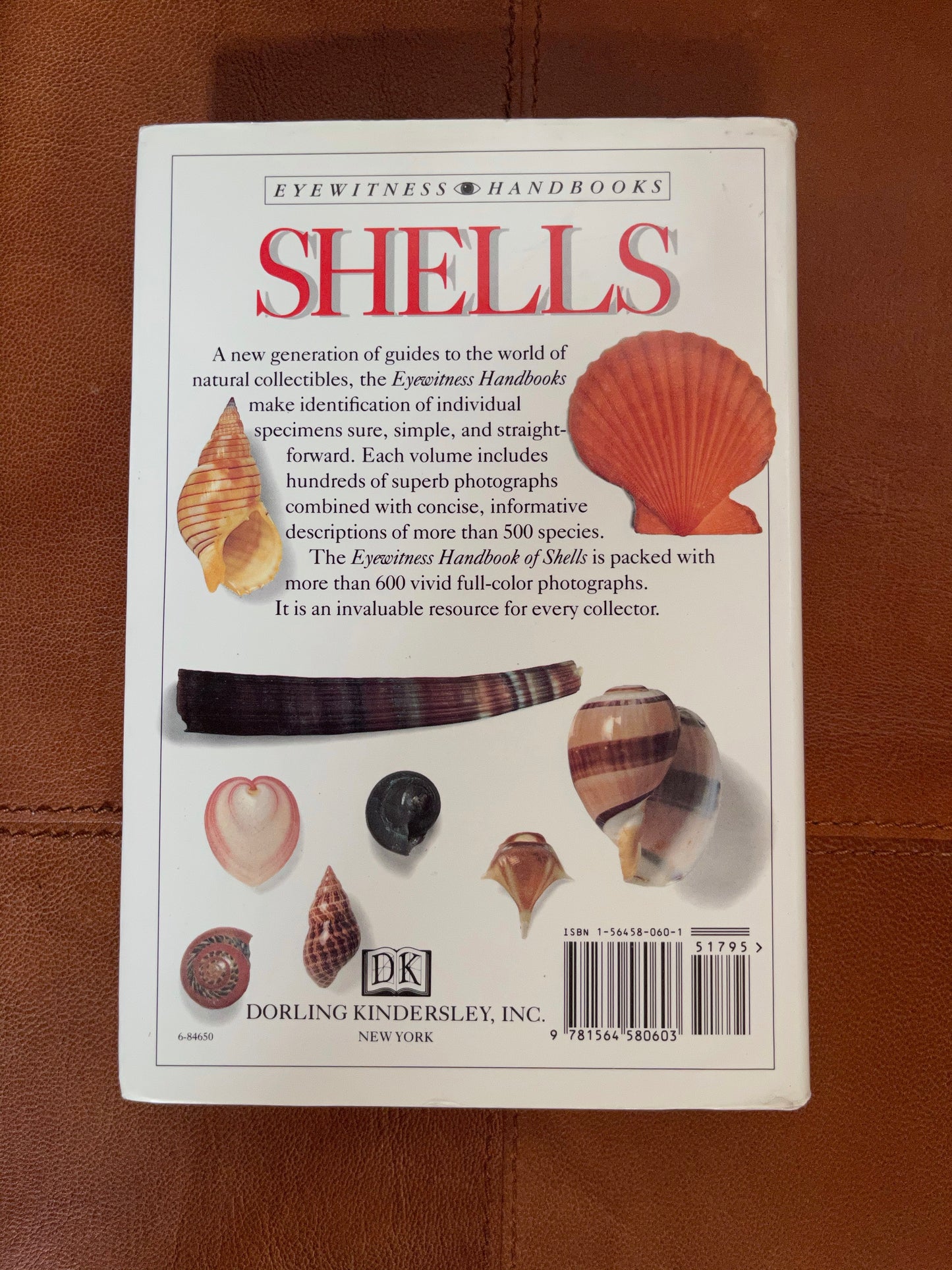 Eyewitness Handbooks Shells, Bodhi Books and Magazines