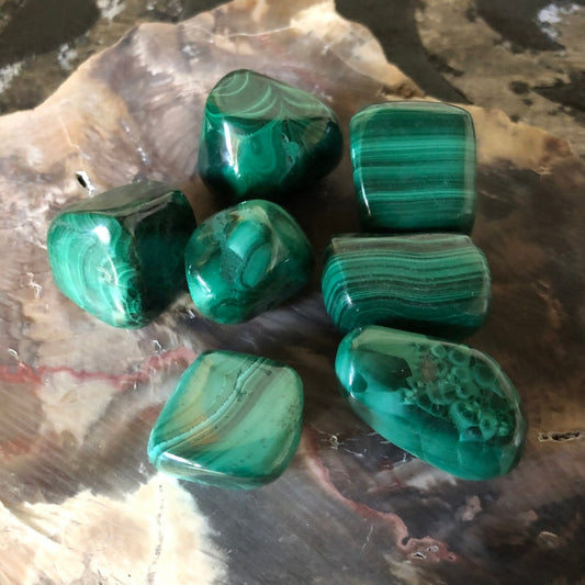 Natural Polished Malachite Crystals, Shy Wolf Charity, Crystal Magic