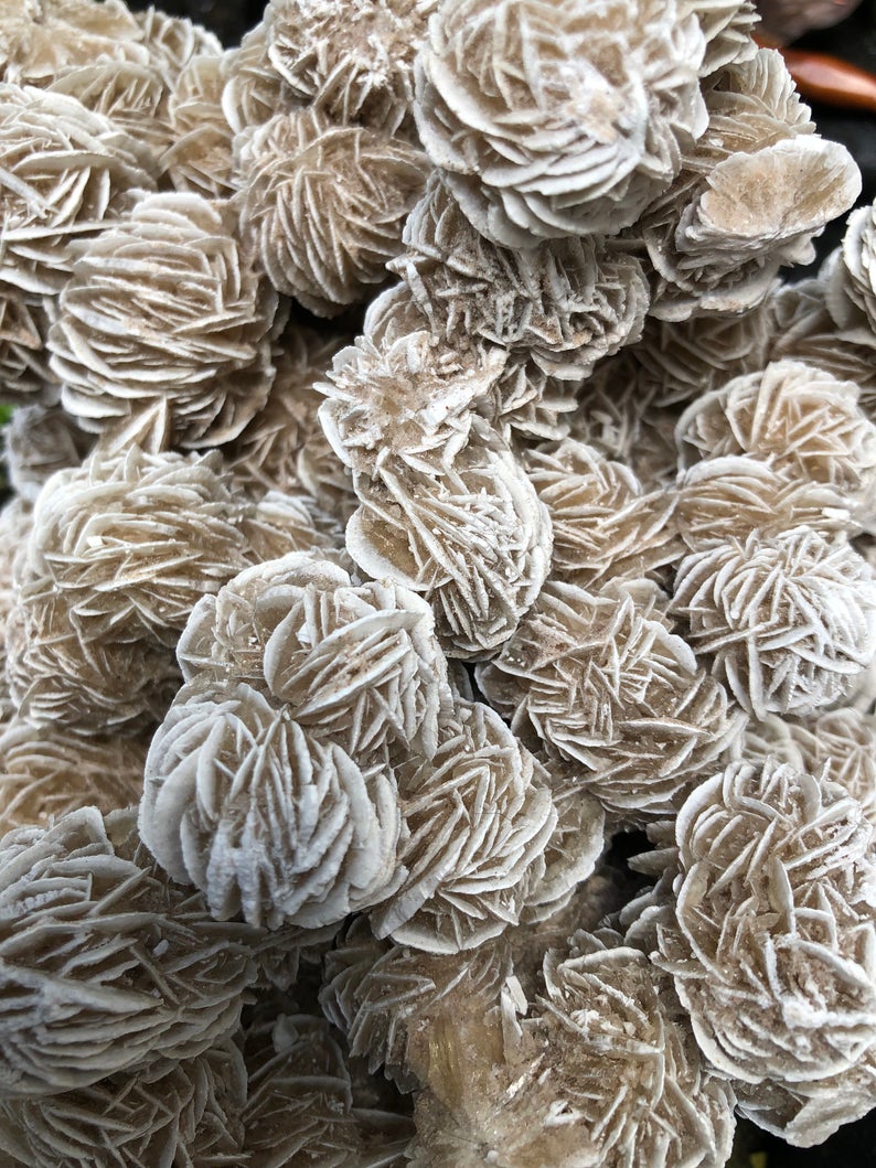 Magnificent Large Desert Rose Specimen, Crystal Magic