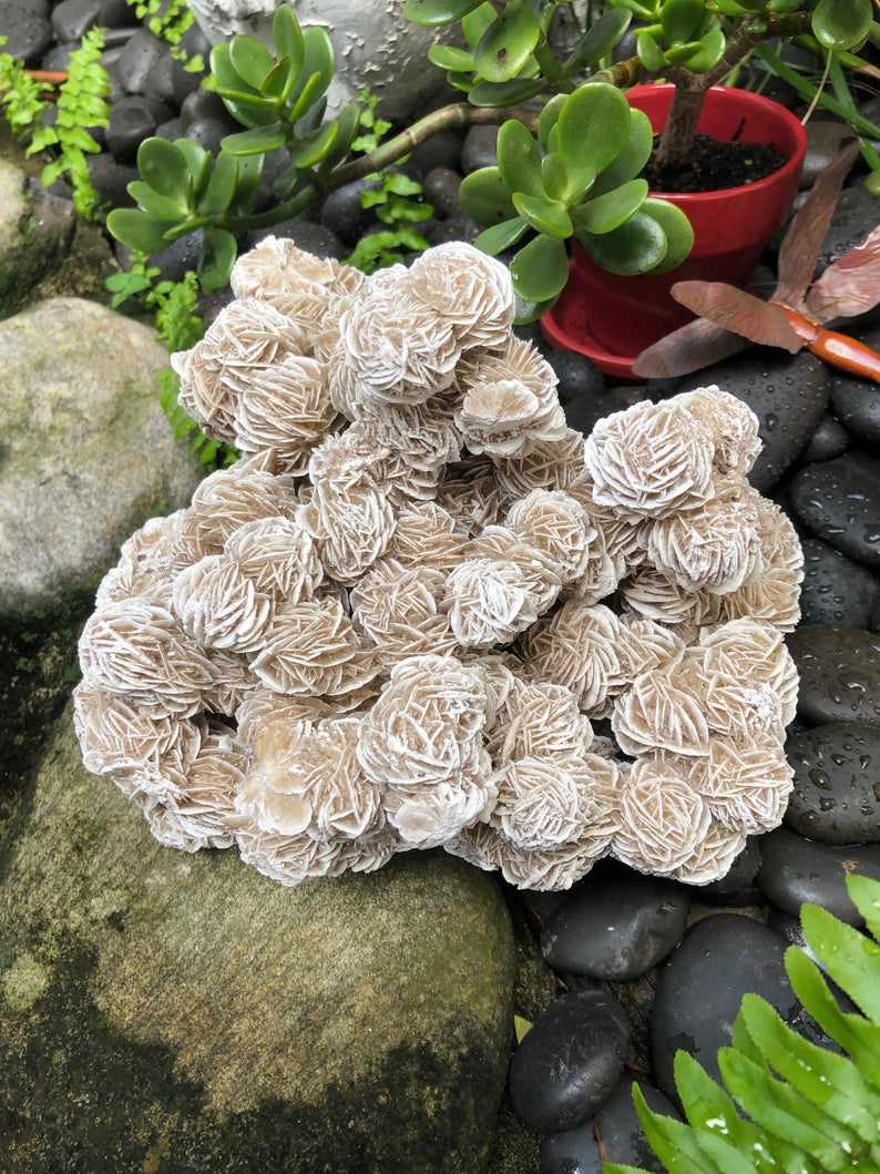 Magnificent Large Desert Rose Specimen, Crystal Magic
