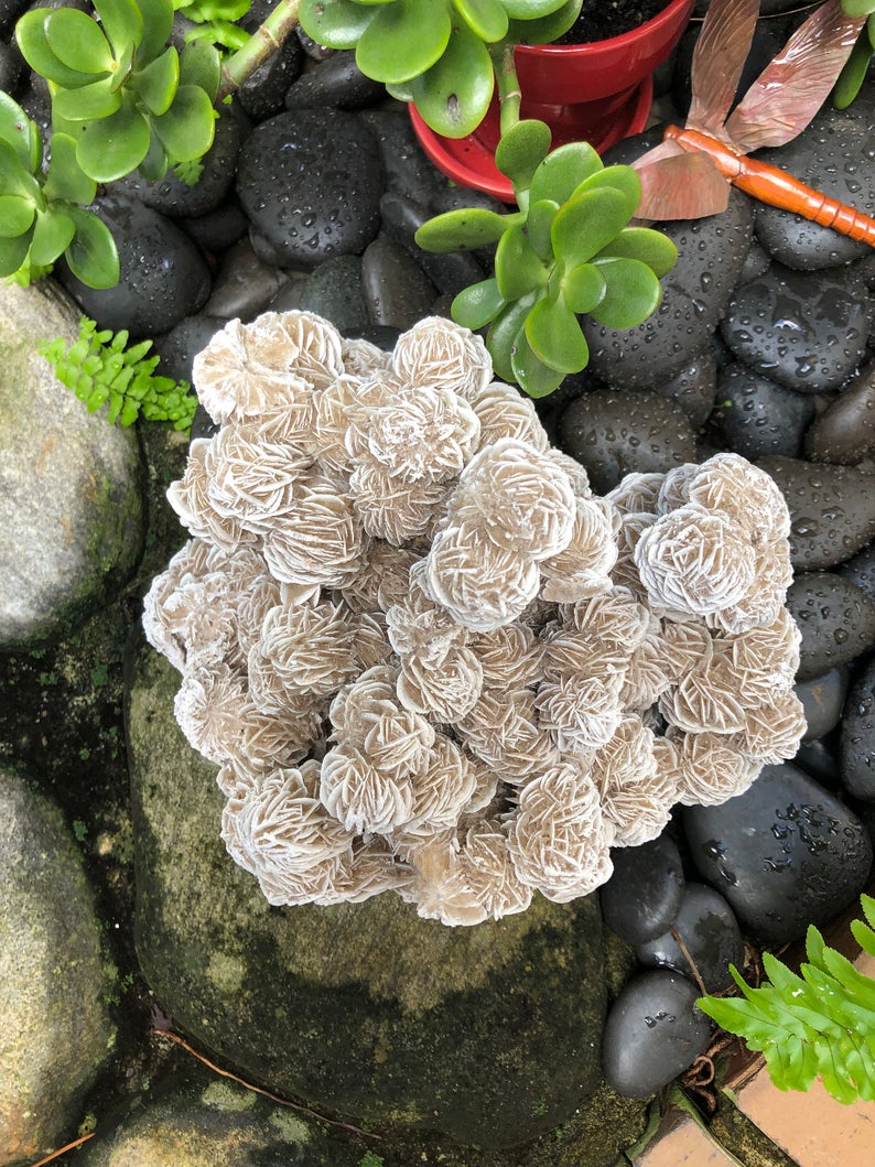 Magnificent Large Desert Rose Specimen, Crystal Magic