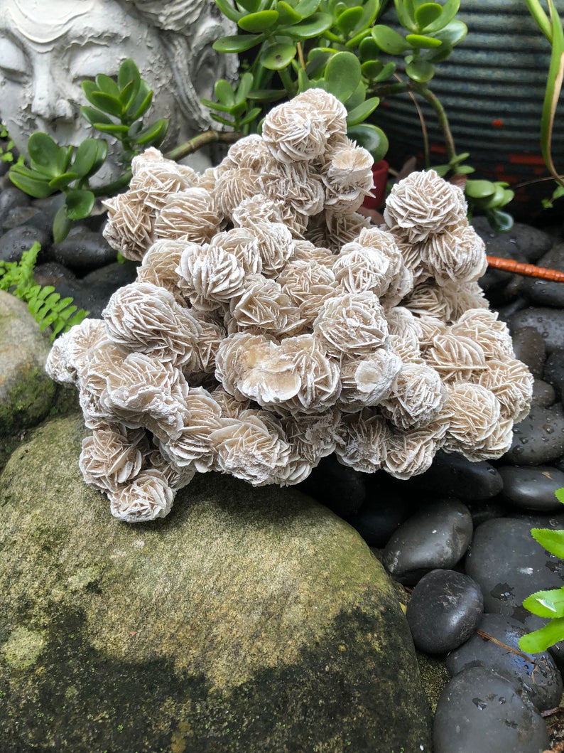 Magnificent Large Desert Rose Specimen, Crystal Magic