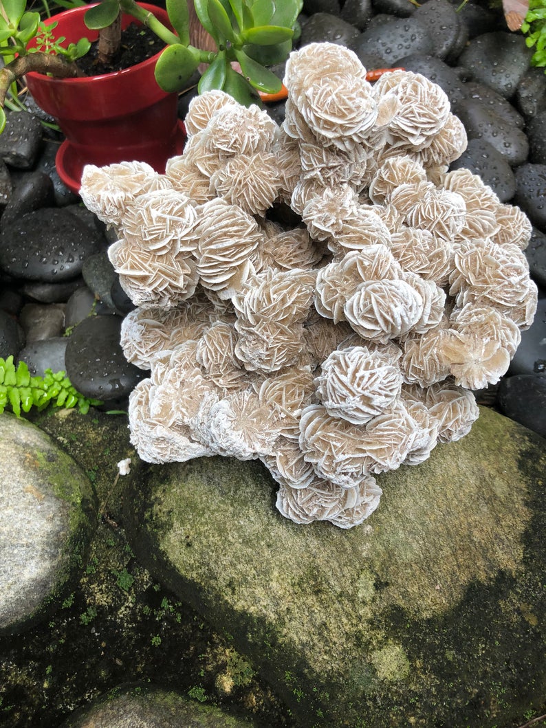Magnificent Large Desert Rose Specimen, Crystal Magic