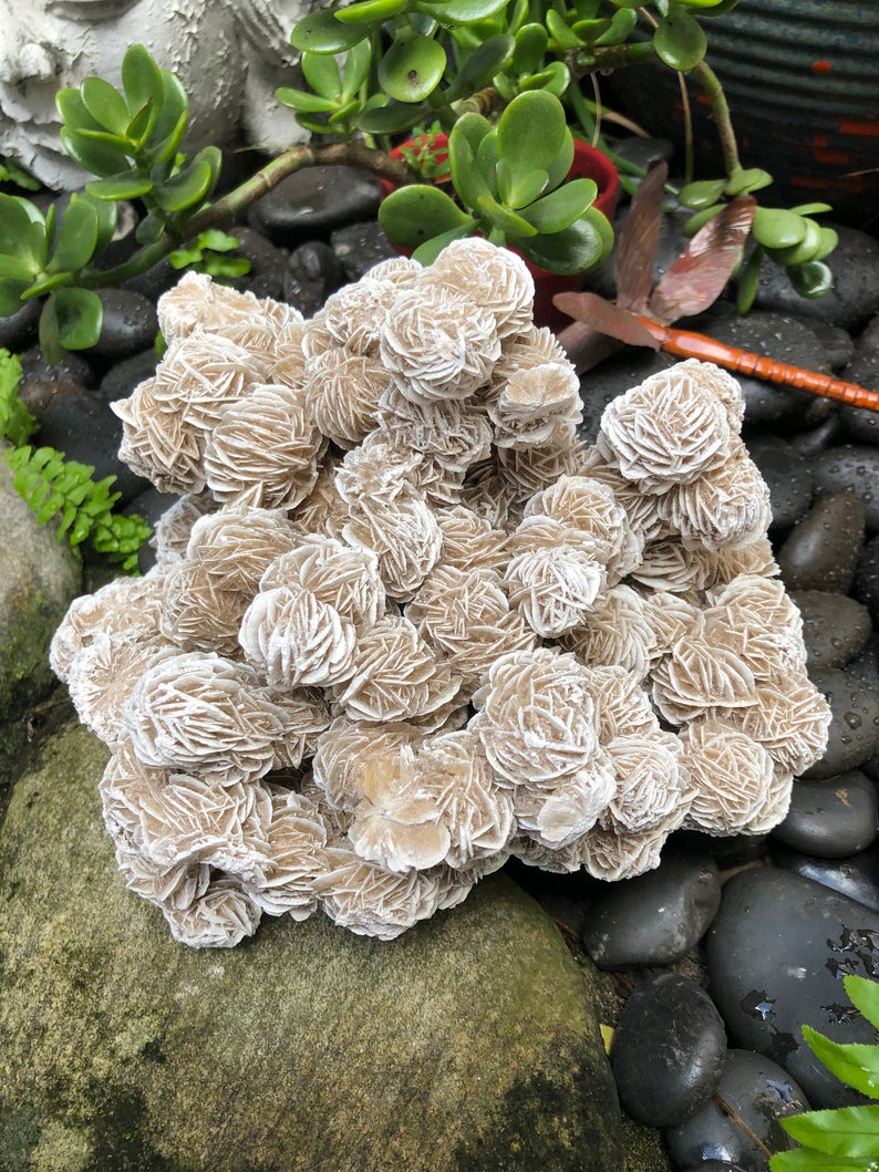 Magnificent Large Desert Rose Specimen, Crystal Magic