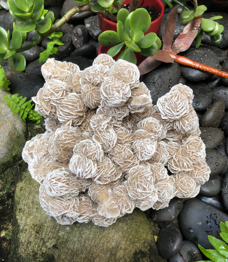 Magnificent Large Desert Rose Specimen, Crystal Magic