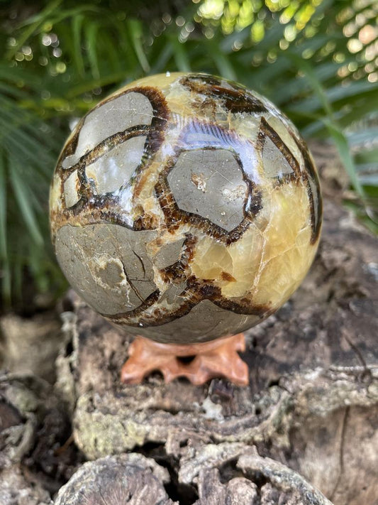 3 lb Septarian Sphere, Crystal Magic