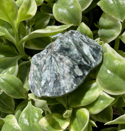 Stunning Seraphinite Rough Crystal, Crystal Magic