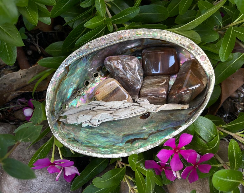 Fossilized Wood, Polished Fossilized Wood, Crystal Magic