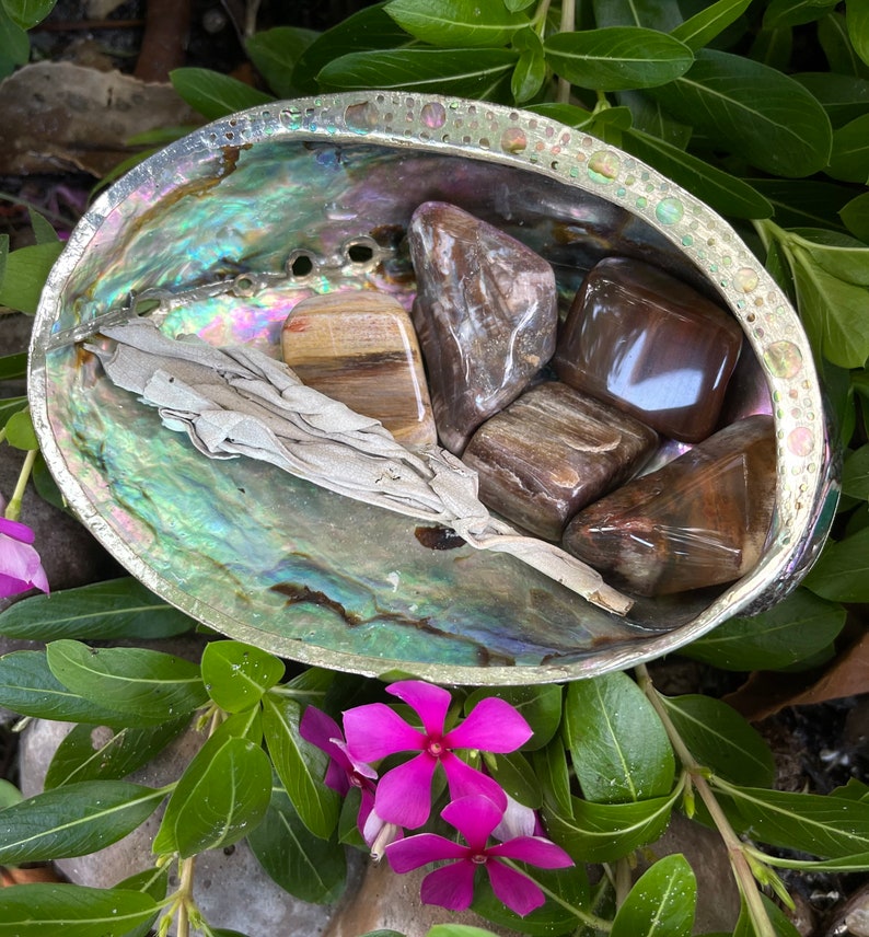 Fossilized Wood, Polished Fossilized Wood, Crystal Magic