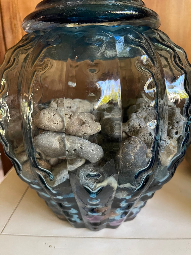 Awesome Large Glass Jar with Almost Hag Stones and Shells, Home Decor