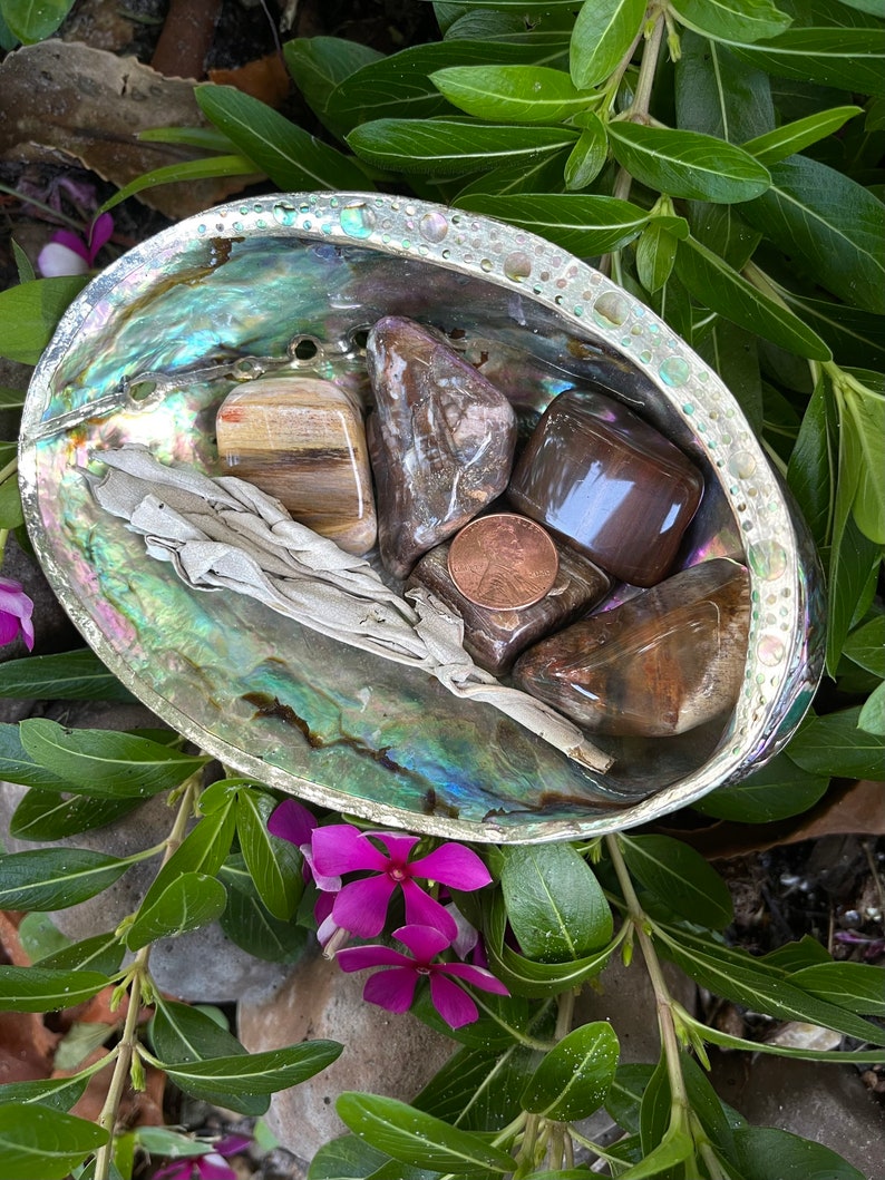 Fossilized Wood, Polished Fossilized Wood, Crystal Magic