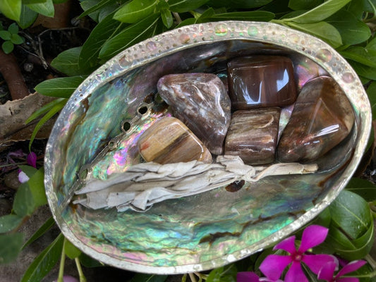 Fossilized Wood, Polished Fossilized Wood, Crystal Magic