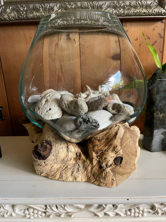 Treasures From The Sea, Molten Glass and Wood Root Sculptured Terrarium, Home Decor