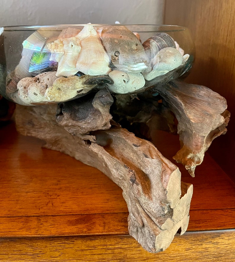 Treasures From The Sea, Molten Glass and Wood Root Sculptured Terrarium, Home Decor