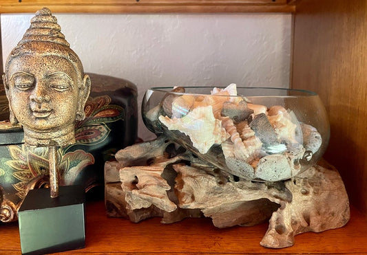 Treasures From The Sea, Molten Glass and Wood Root Sculptured Terrarium, Home Decor