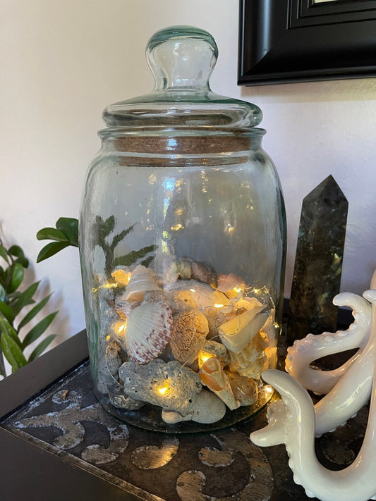 Awesome Large Glass Jar with Almost Hag Stones and Shells, Lighted Jar, Home Decor