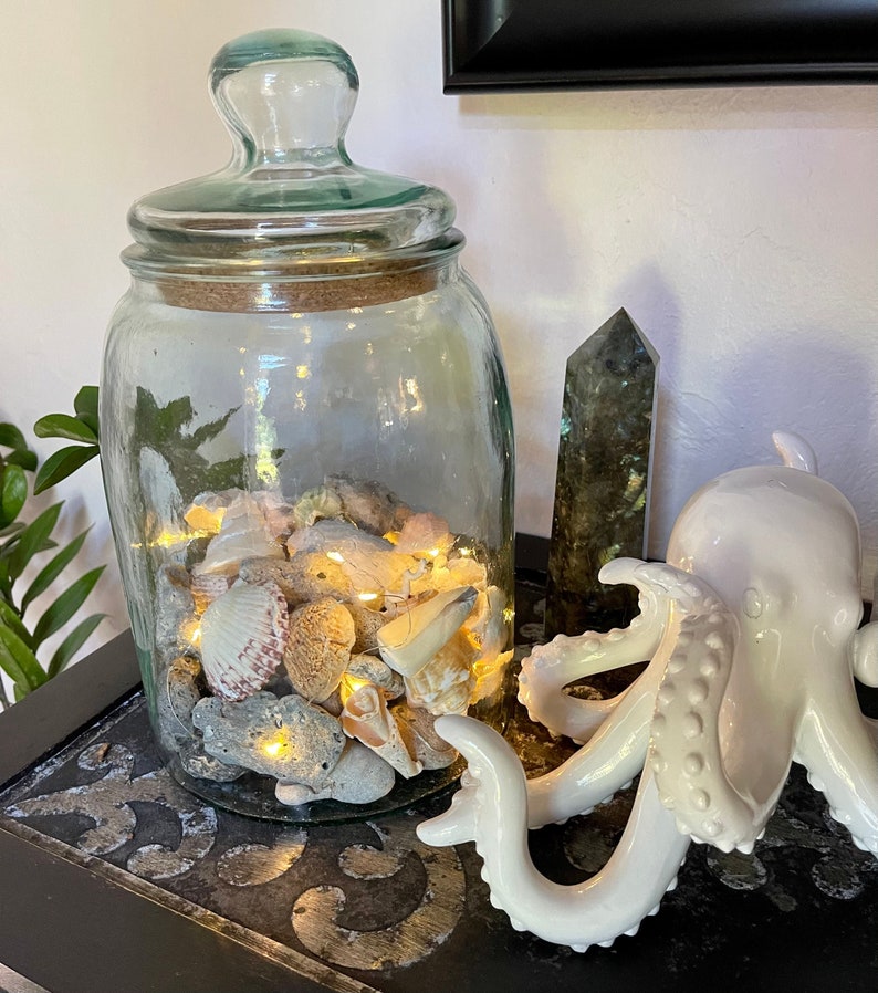 Awesome Large Glass Jar with Almost Hag Stones and Shells, Lighted Jar, Home Decor