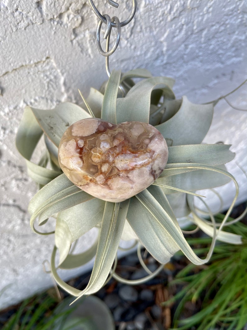 Agate Heart, Palm Stone, Cherry Blossom Agate, Crystal Magic