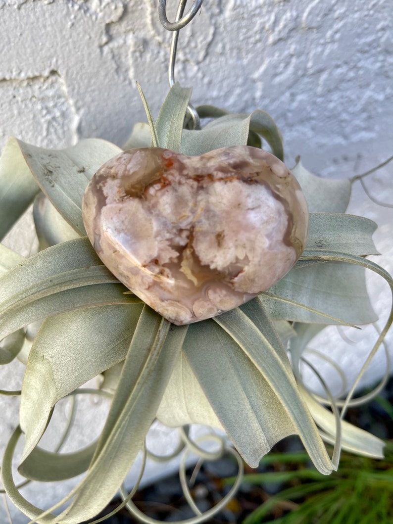 Agate Heart, Palm Stone, Cherry Blossom Agate, Crystal Magic