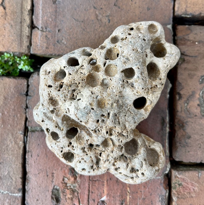 Large Hag Stone, Local Beach Stone, Island Stone, Crystal Magic