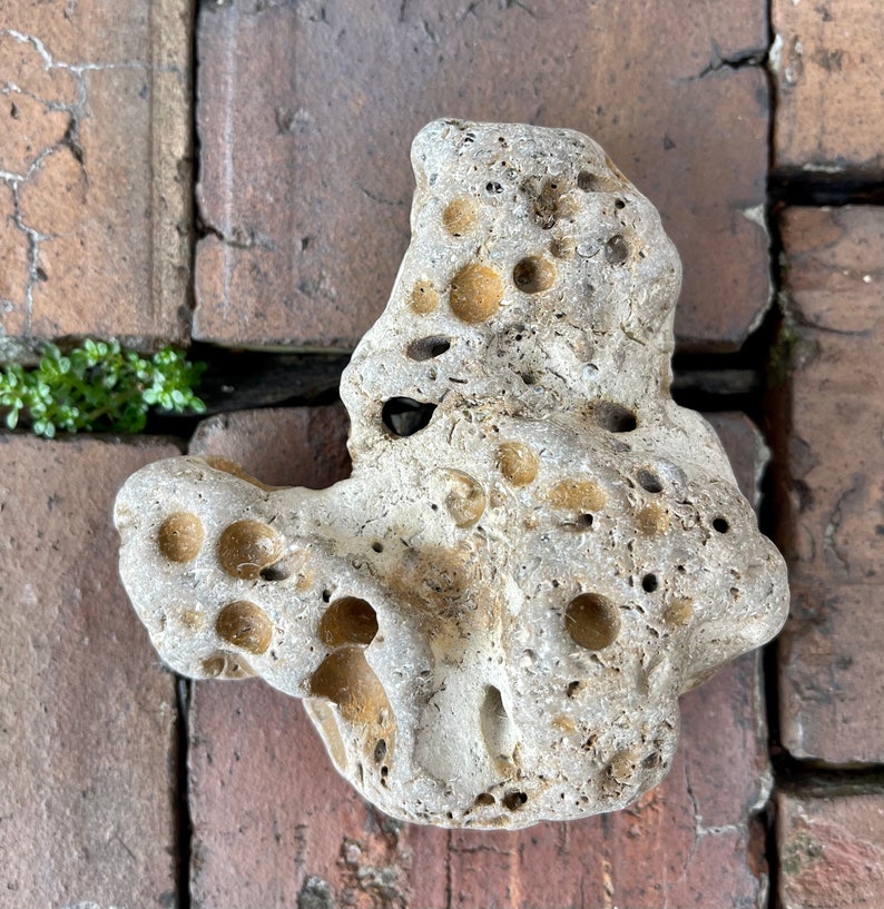 Large Hag Stone, Local Beach Stone, Island Stone, Crystal Magic