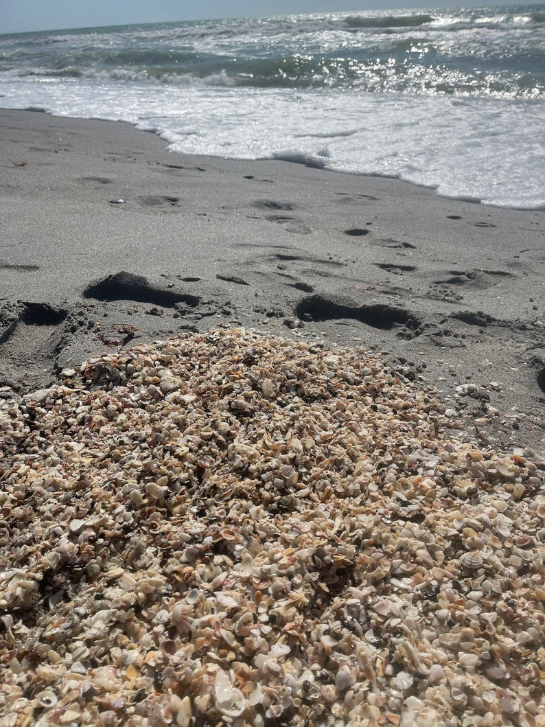 Large Hag Stone, Local Beach Stone, Island Stone, Crystal Magic