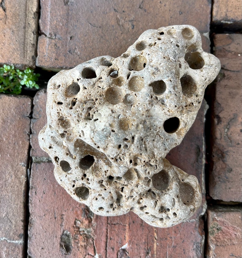 Large Hag Stone, Local Beach Stone, Island Stone, Crystal Magic