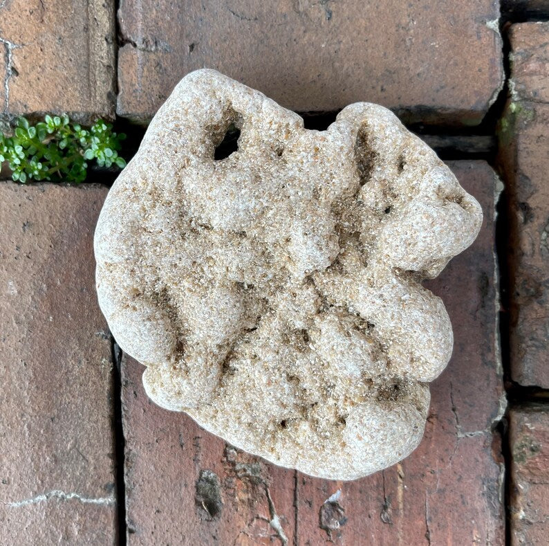 Large Hag Stone, Local Beach Stone, Crystal Magic