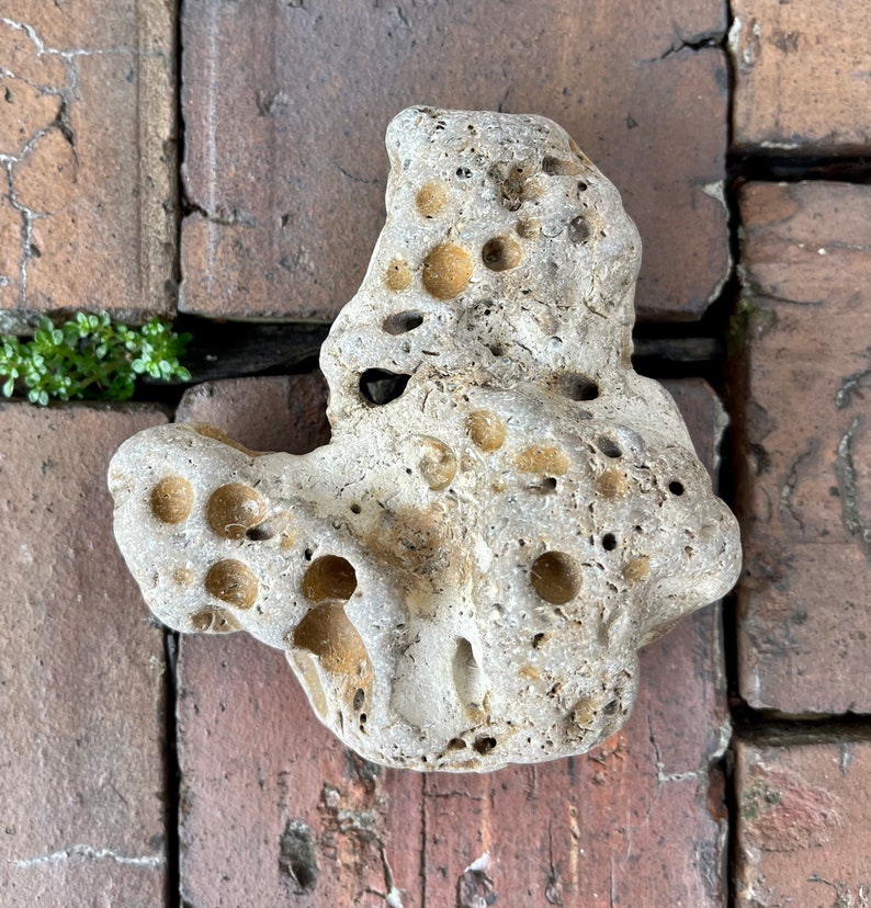 Large Hag Stone, Local Beach Stone, Island Stone, Crystal Magic