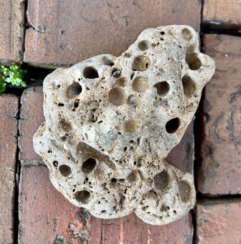 Large Hag Stone, Local Beach Stone, Island Stone, Crystal Magic